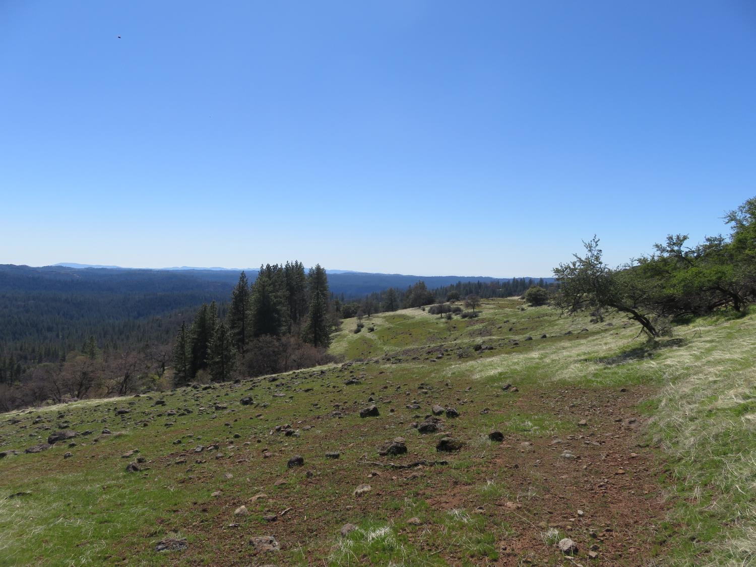 1975 Ridgecrest Way West Point, CA 95255 - Photo 55 of 71