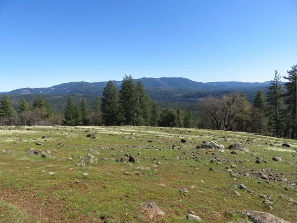 $549,000 | 1975 Ridgecrest Way, West Point, CA 95255