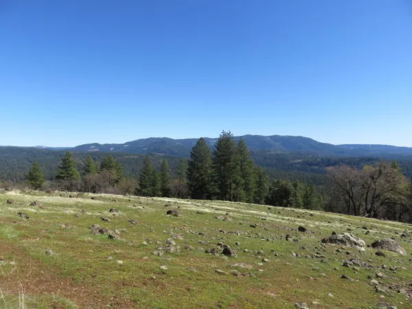 $549,000 | 1975 Ridgecrest Way, West Point, CA 95255