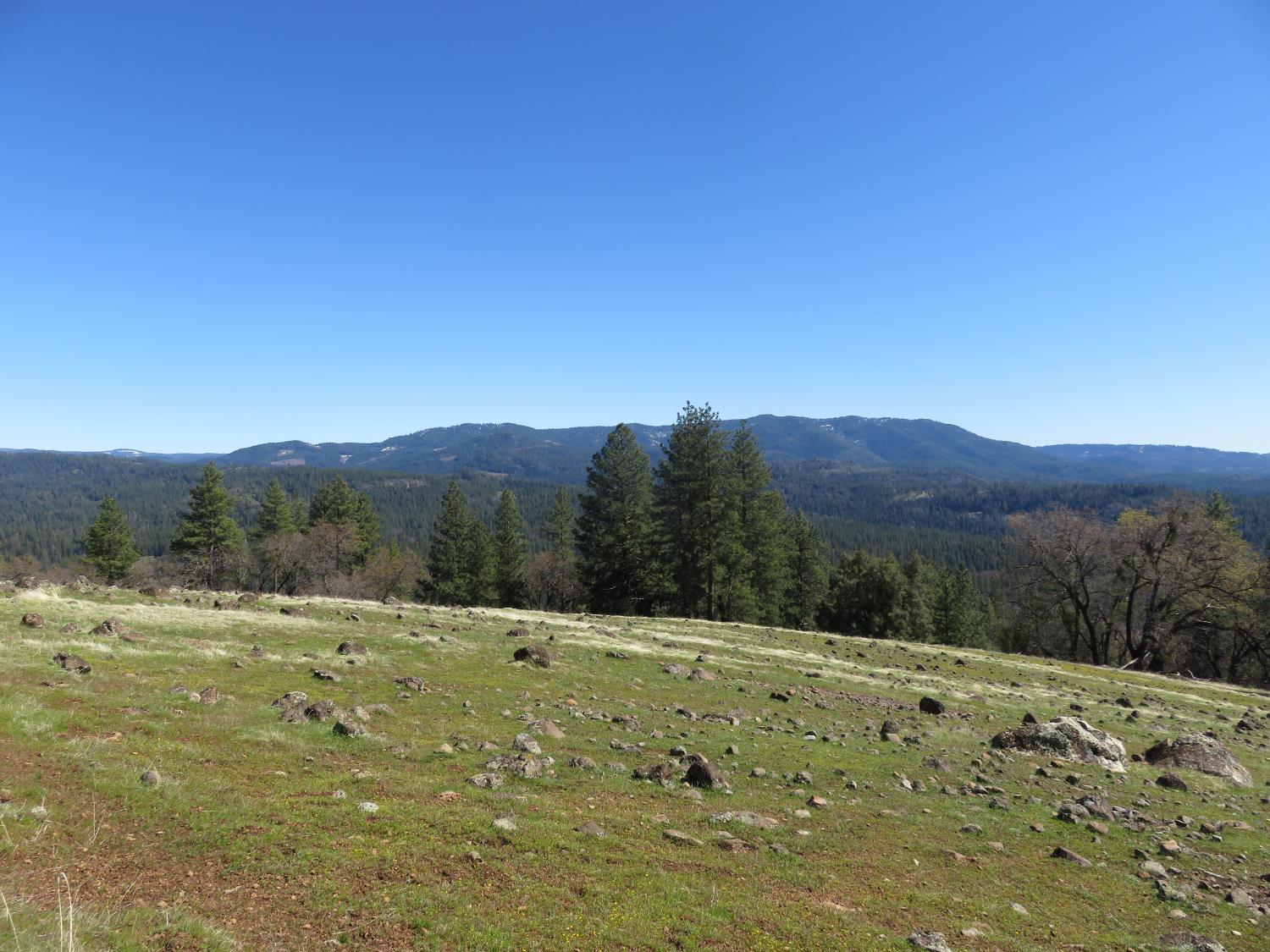 1975 Ridgecrest Way West Point, CA 95255 - Photo 58 of 71