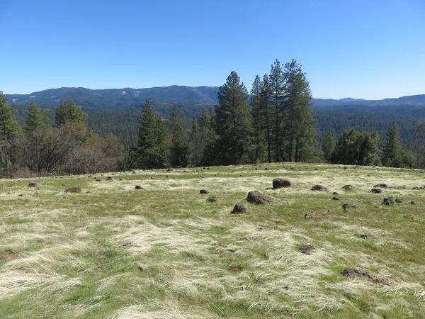 $549,000 | 1975 Ridgecrest Way, West Point, CA 95255