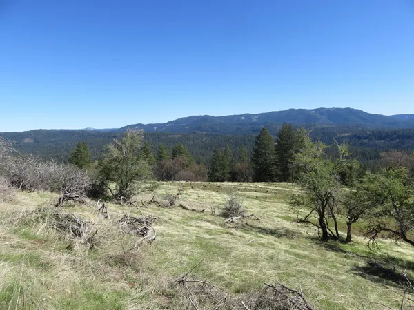 $549,000 | 1975 Ridgecrest Way, West Point, CA 95255