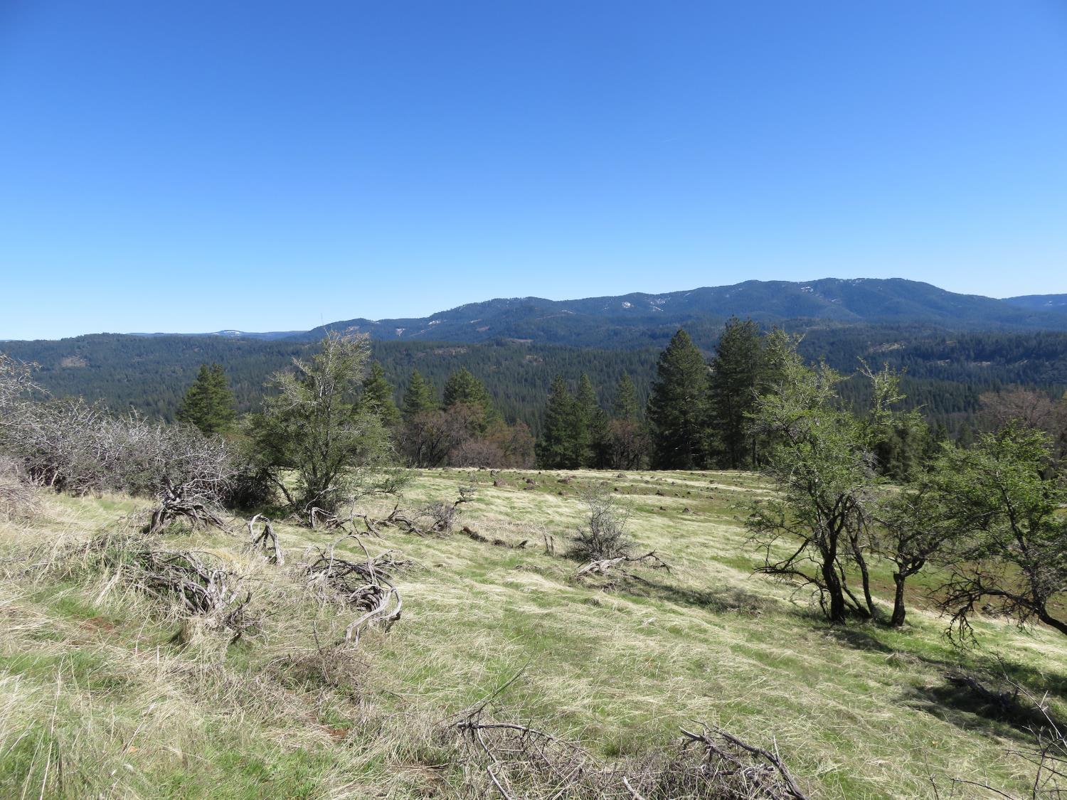 1975 Ridgecrest Way West Point, CA 95255 - Photo 60 of 71