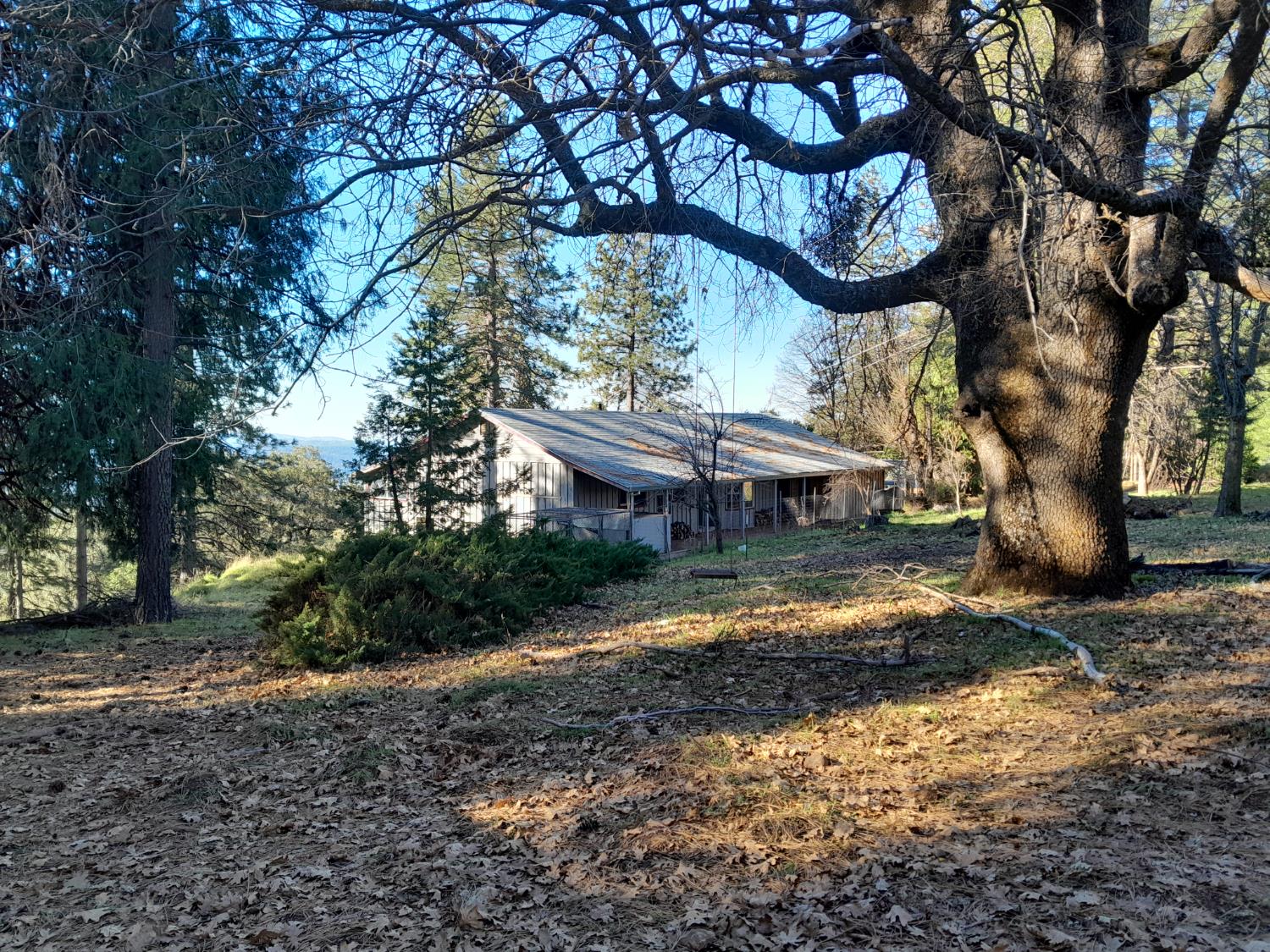 1975 Ridgecrest Way West Point, CA 95255 - Photo 6 of 71