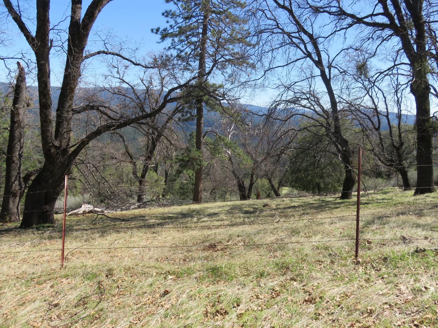 1975 Ridgecrest Way West Point, CA 95255 - Photo 61 of 71 a backyard of a house with lots of green space