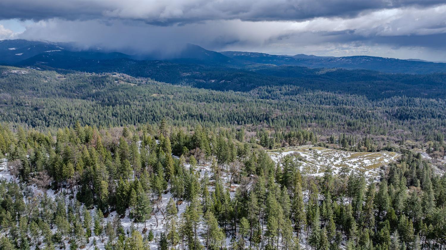 1975 Ridgecrest Way West Point, CA 95255 - Photo 64 of 71