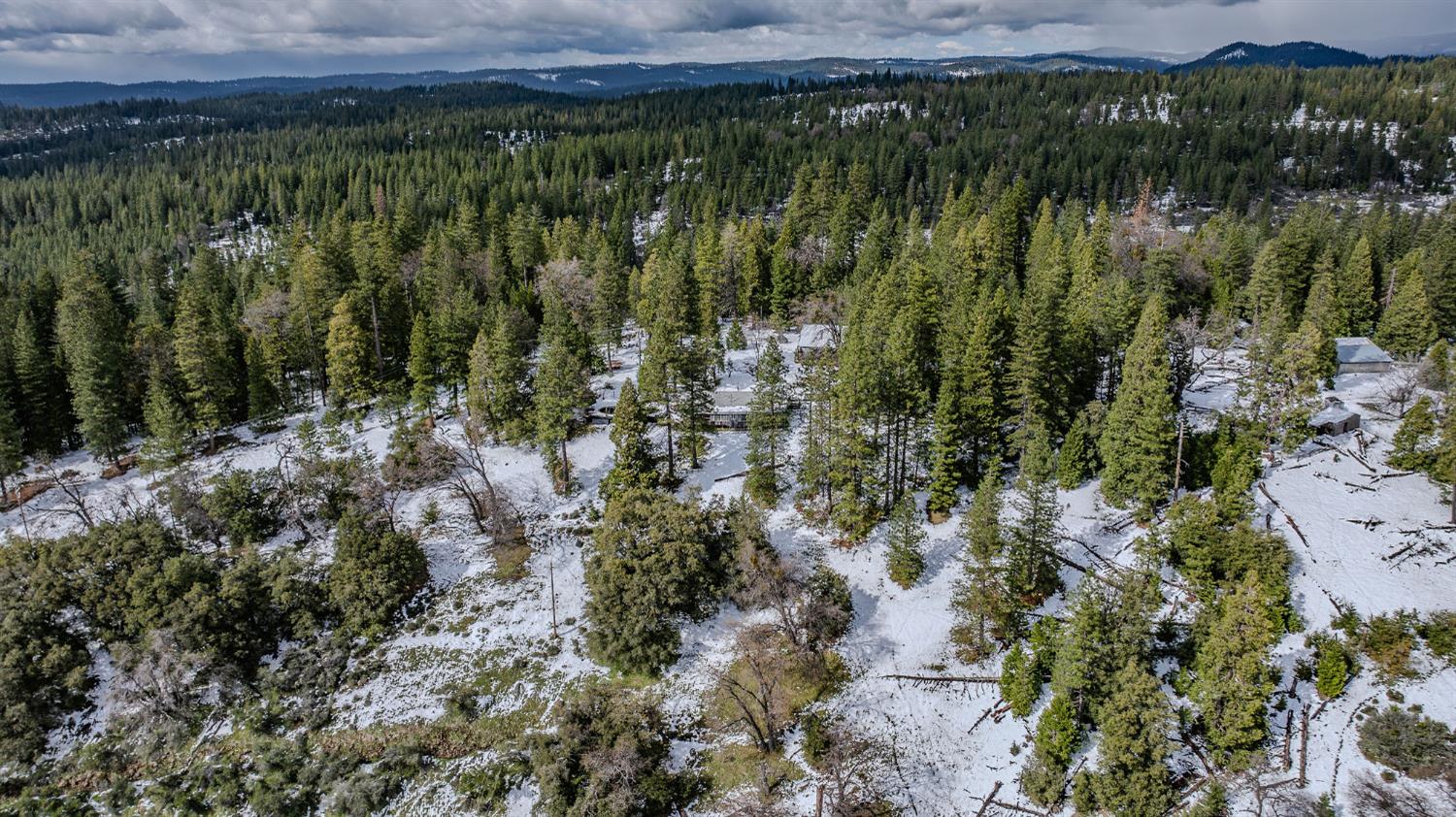 1975 Ridgecrest Way West Point, CA 95255 - Photo 67 of 71 a view of a lush green forest with lots of trees