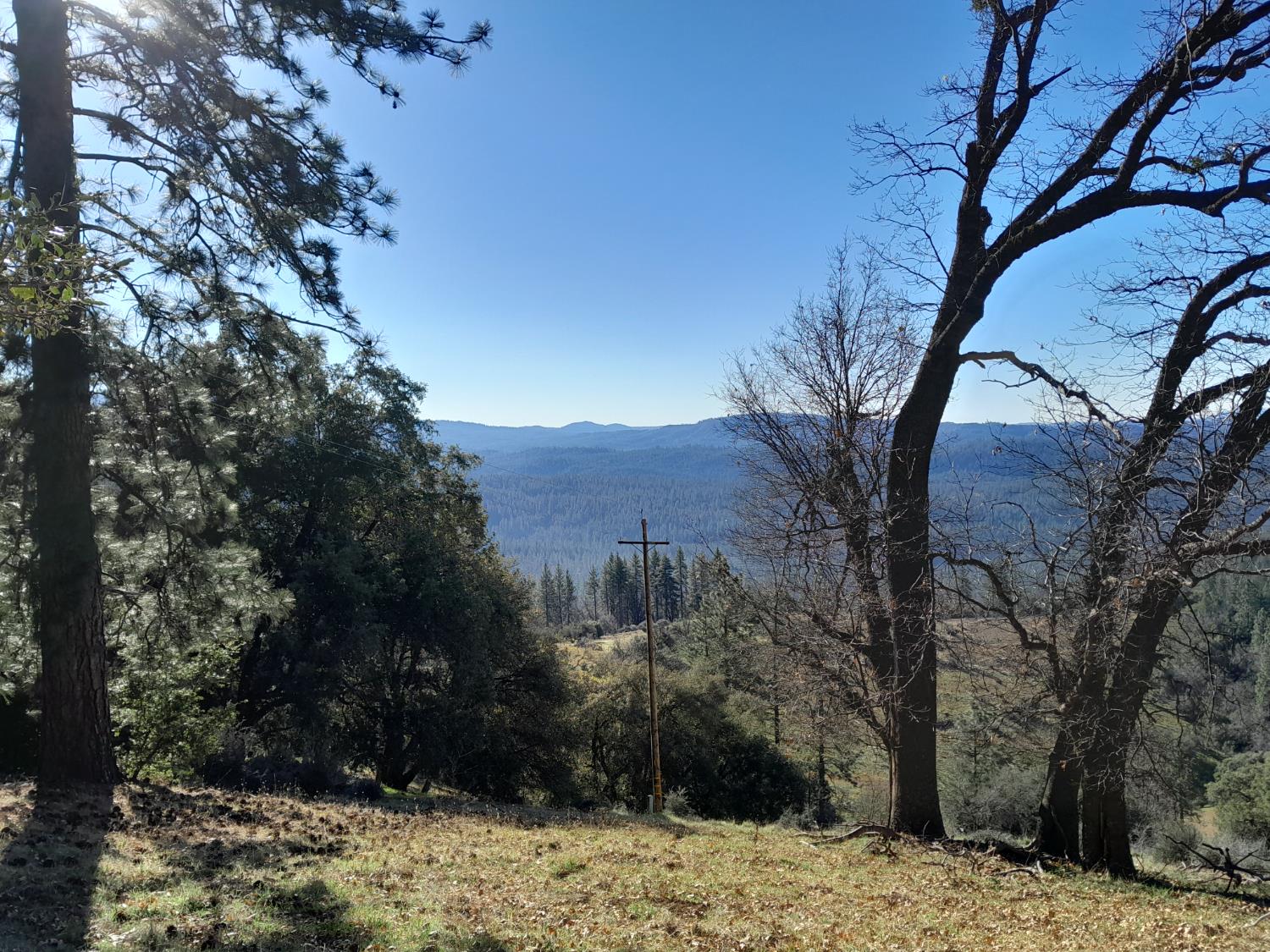 1975 Ridgecrest Way West Point, CA 95255 - Photo 8 of 71