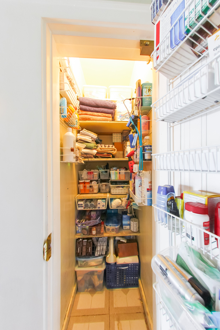 6732 West Rascher Avenue Chicago, IL 60656 - Photo 24 of 52
