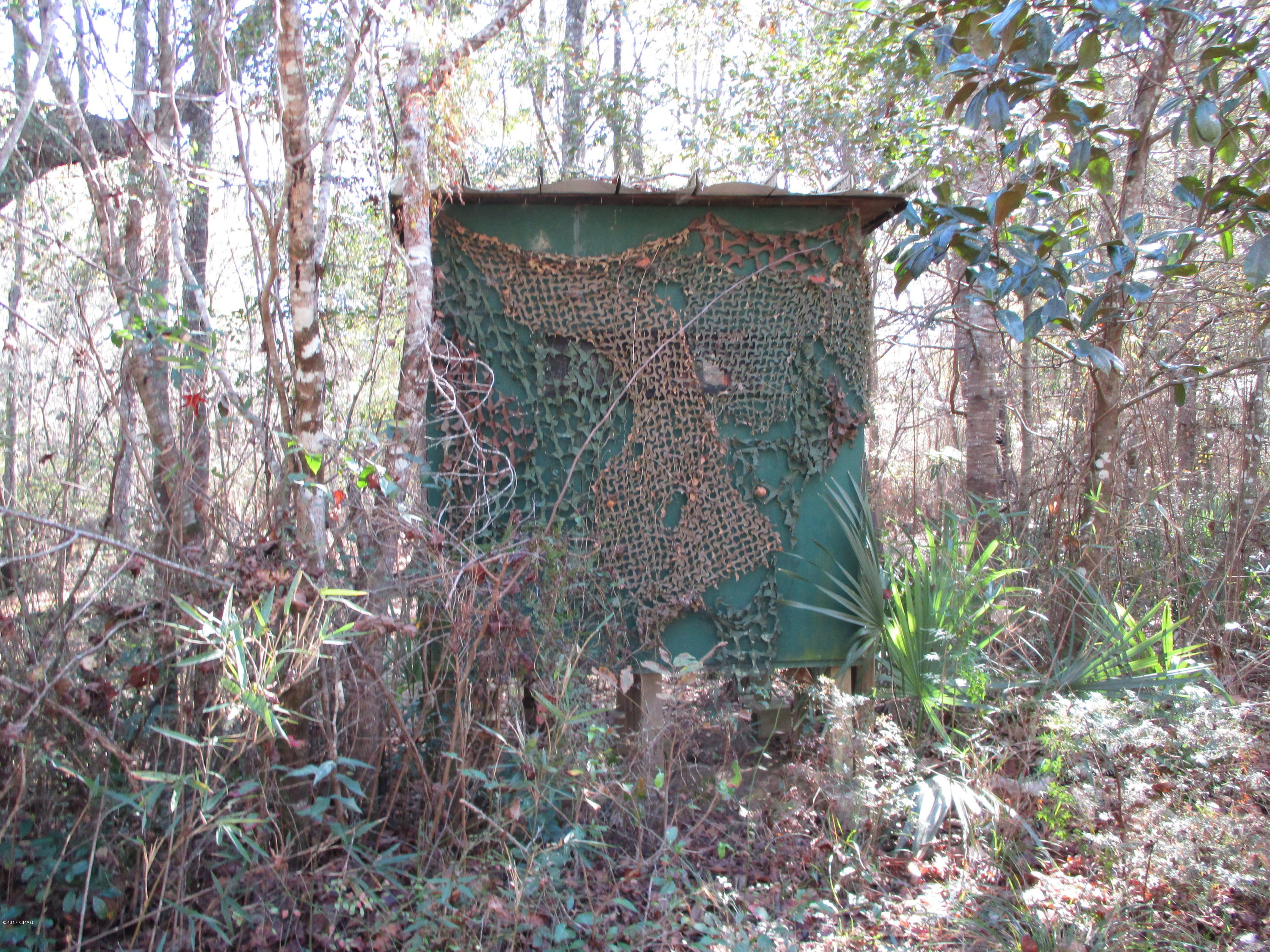 0 Benchoff Road Bonifay, FL 32425 - Photo 10 of 32