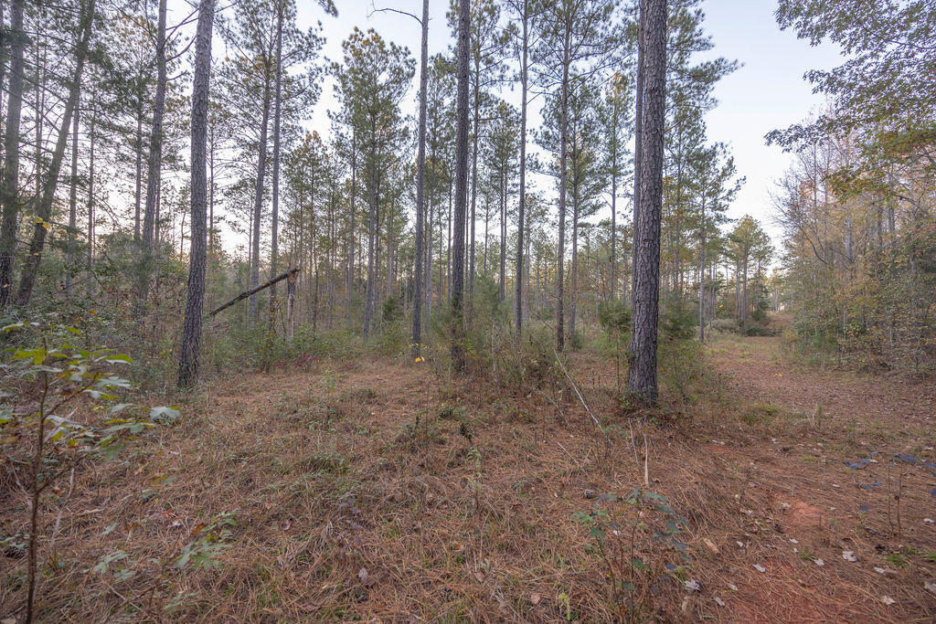 Tbd Barr Chapel Road Edgefield, SC 29824 - Photo 10 of 15