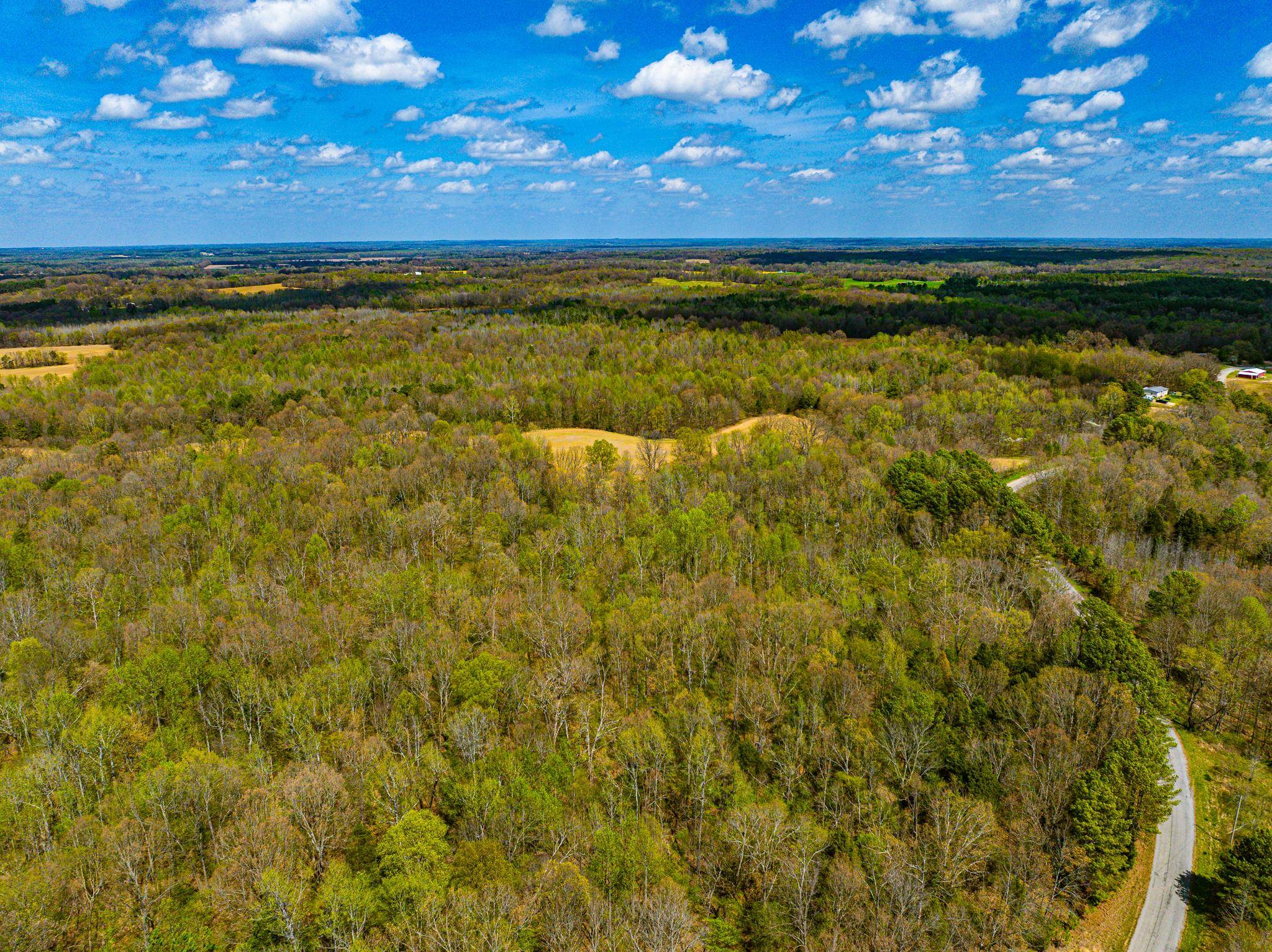 0 Pisgah Road Dresden, TN 38225 - Photo 31 of 40 Gallery Image 31