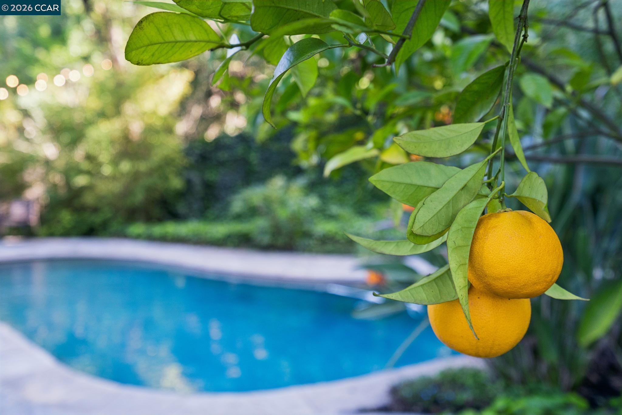 3345 Ridge Road Lafayette, CA 94549 - Photo 25 of 29