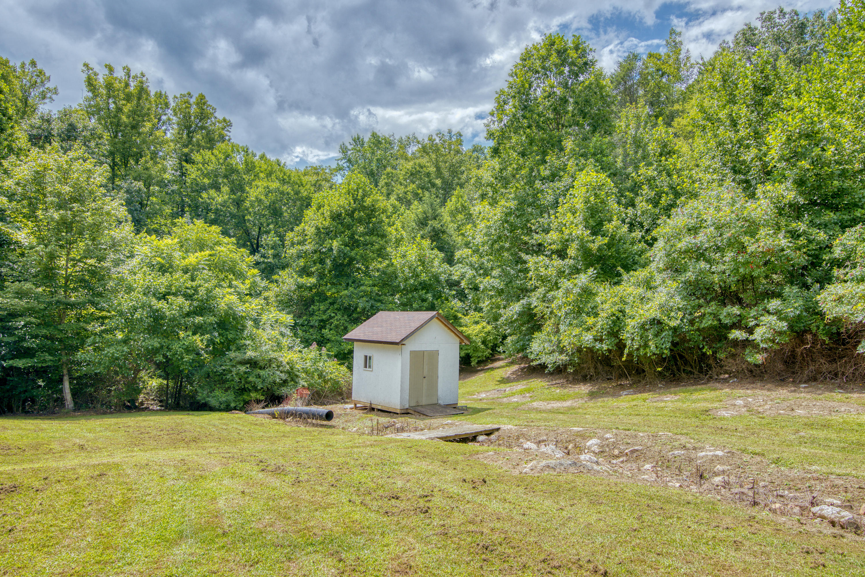 105 George Williams Road Elizabethton, TN 37643 - Photo 8 of 38 DSC_6943_MLS