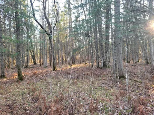 $59,900 | Xxx Xxx Rapid River, Baudette, MN 56623