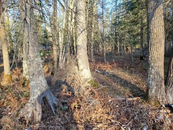 $59,900 | Xxx Xxx Rapid River, Baudette, MN 56623