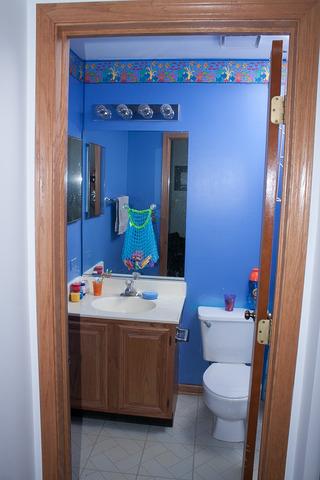 573 Buckboard Road Bolingbrook, IL 60490 - Photo 4 of 9