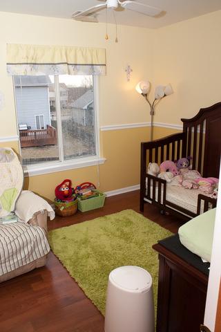 573 Buckboard Road Bolingbrook, IL 60490 - Photo 5 of 9