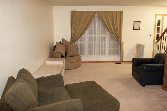 573 Buckboard Road Bolingbrook, IL 60490 - Photo 8 of 9