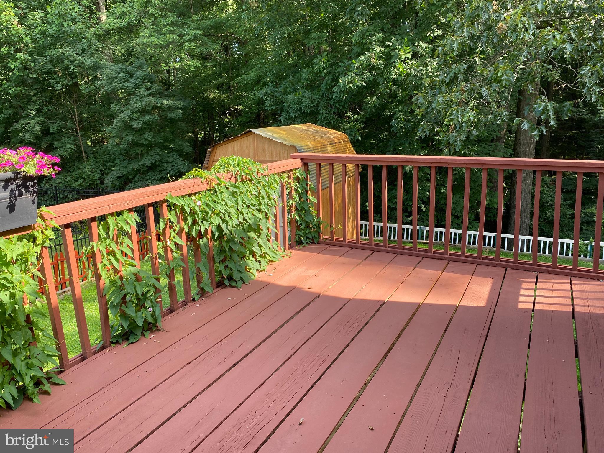 318 Hillsboro Drive Silver Spring, MD 20902 - Photo 14 of 26