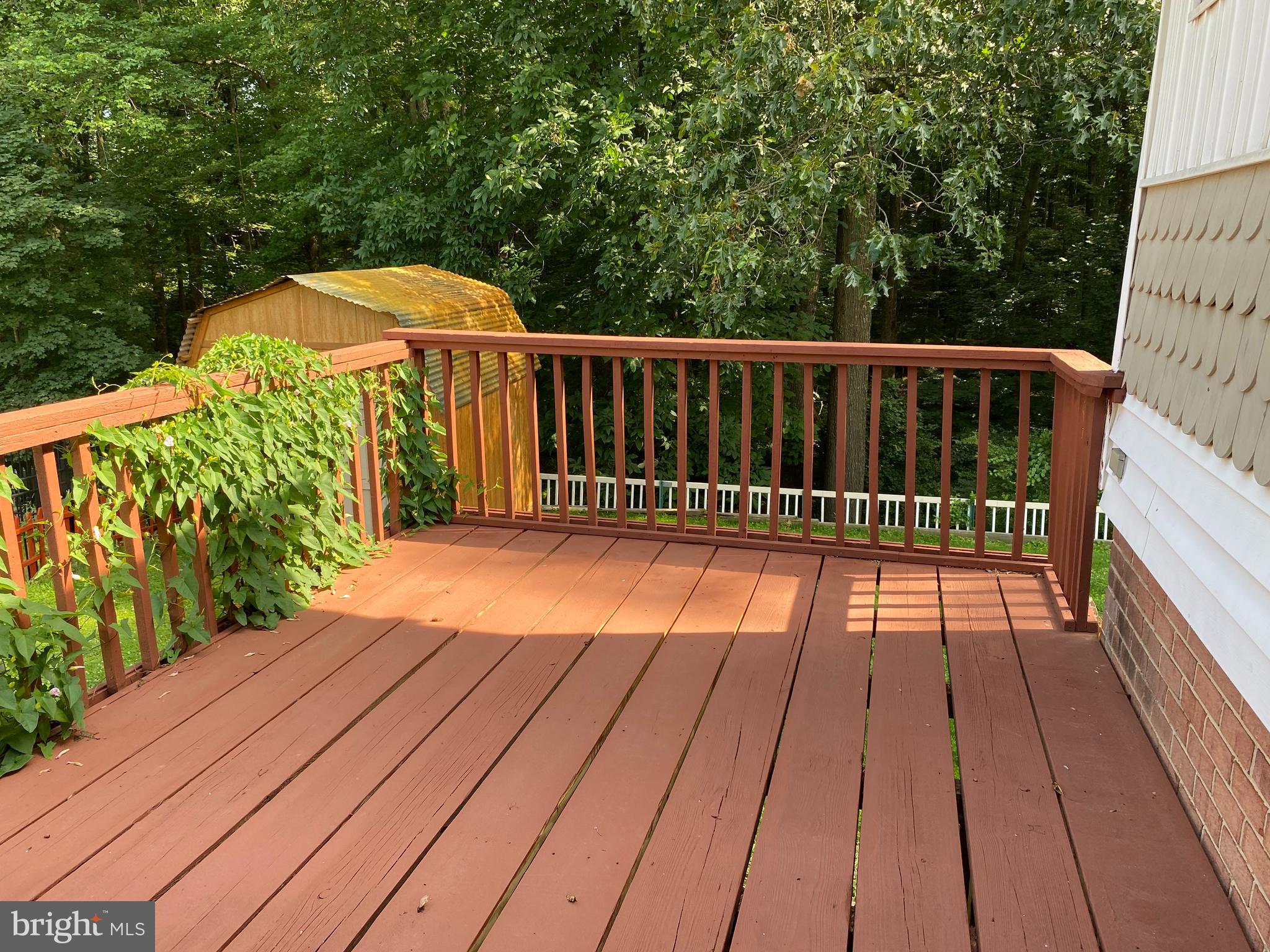 318 Hillsboro Drive Silver Spring, MD 20902 - Photo 15 of 26