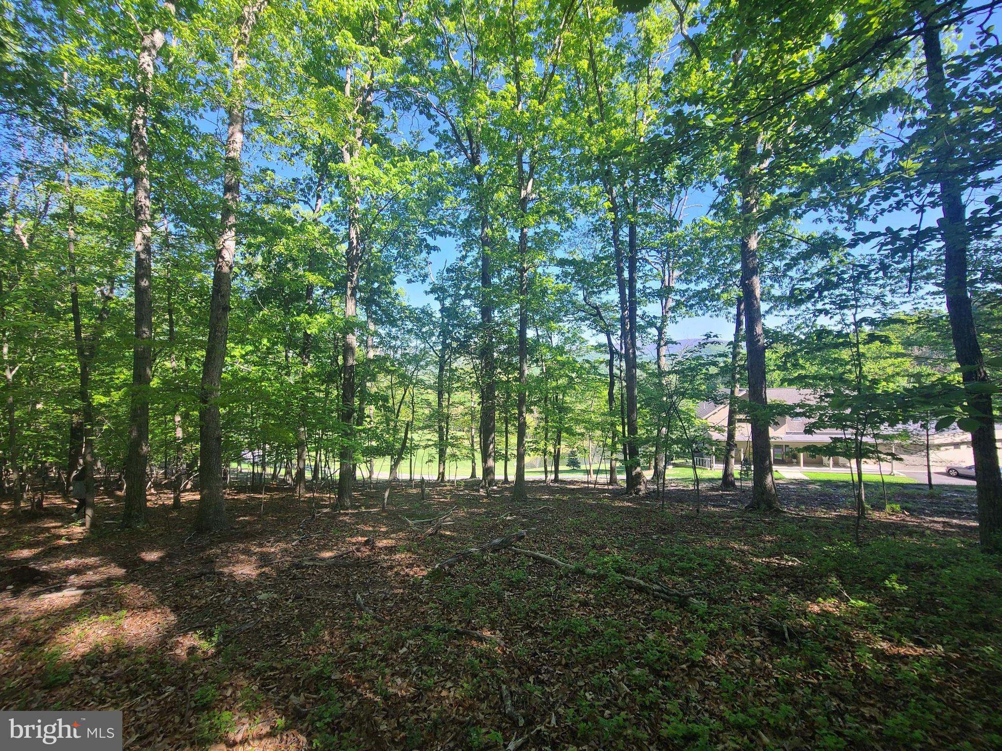 240 Thunder Road Front Royal, VA 22630 - Photo 33 of 51 view from house site