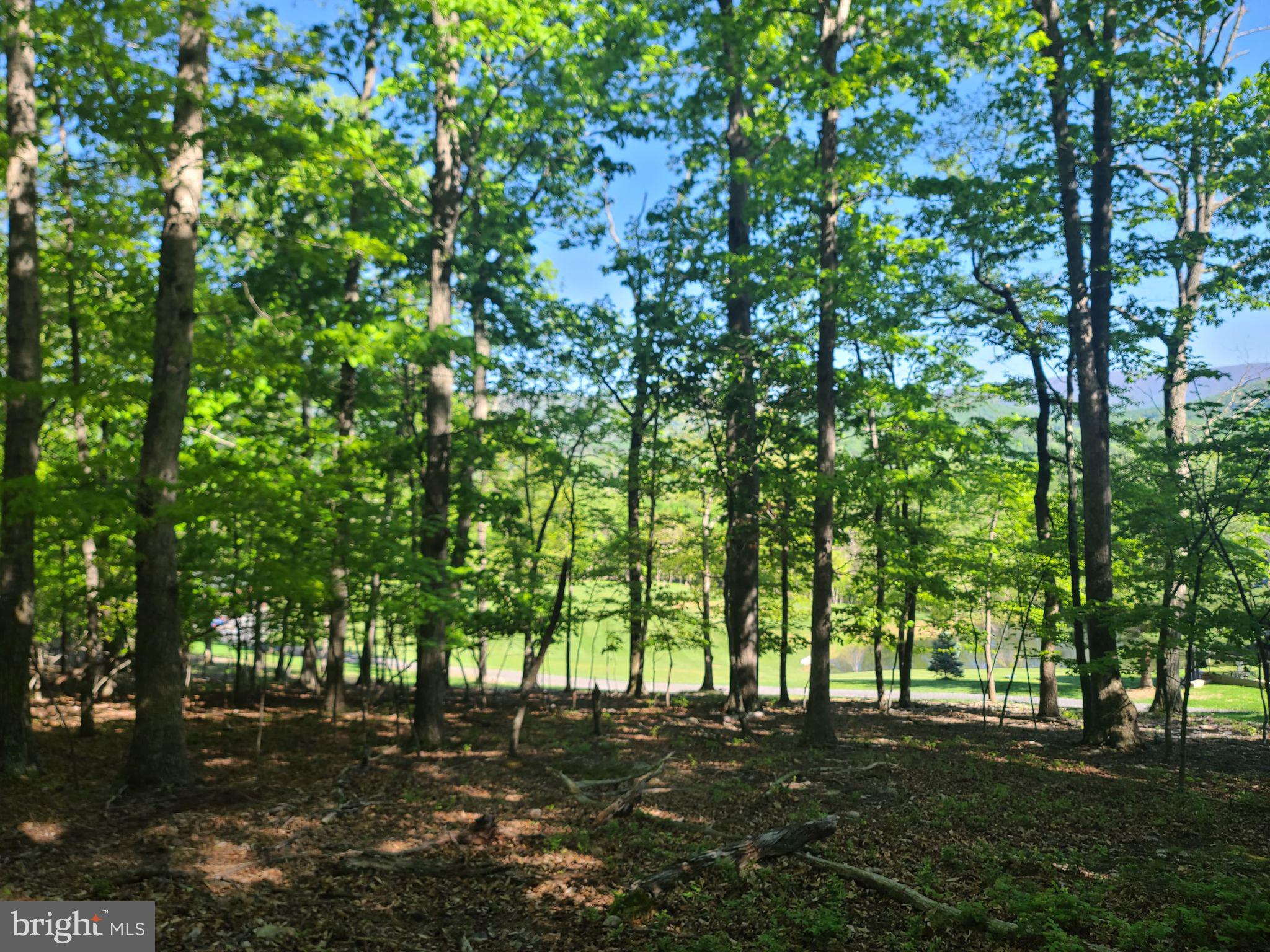 240 Thunder Road Front Royal, VA 22630 - Photo 36 of 51 view from house site