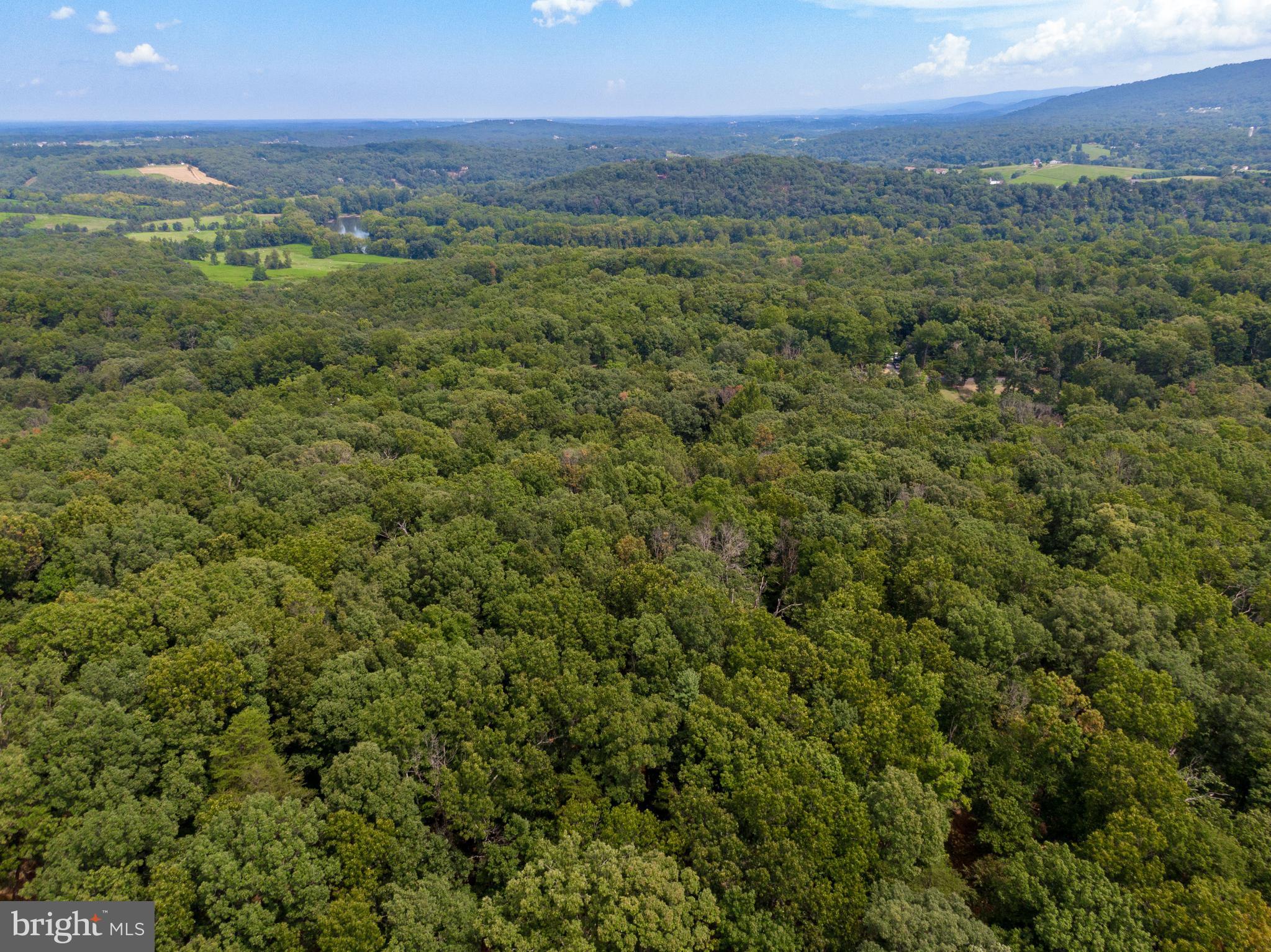 240 Thunder Road Front Royal, VA 22630 - Photo 38 of 51