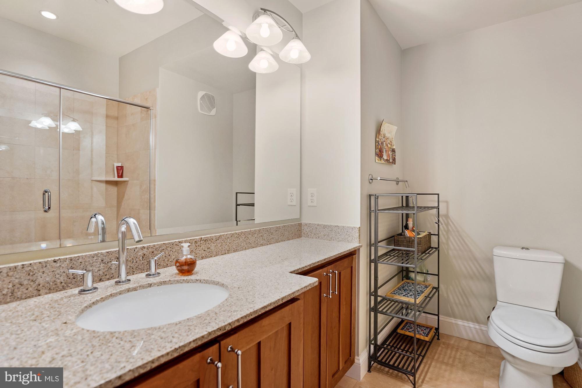 3131 9th Road North, Unit 11 Arlington, VA 22201 - Photo 16 of 39 Primary Ensuite Bathroom