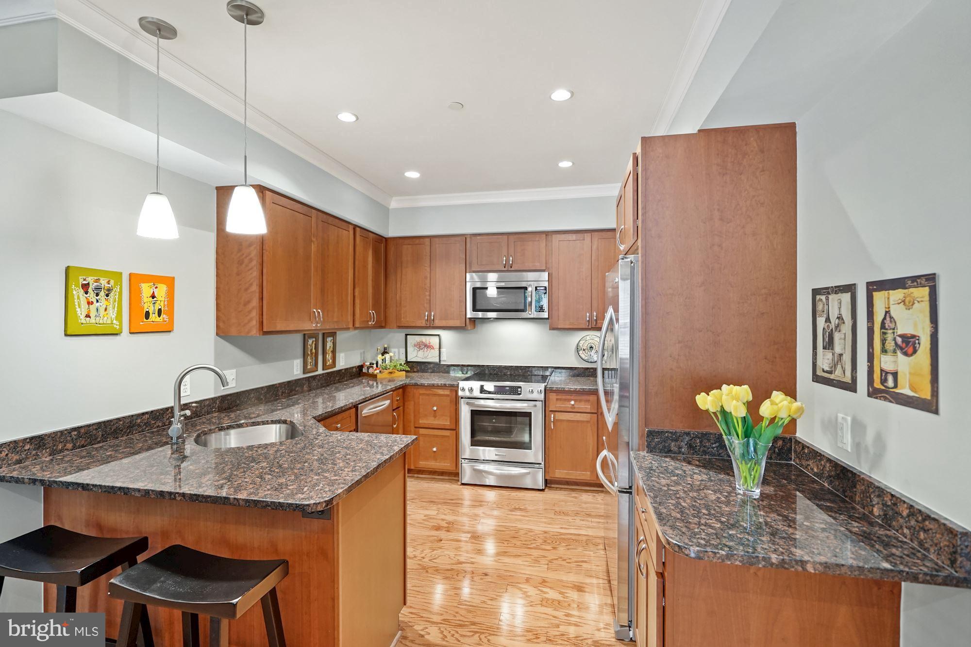 3131 9th Road North, Unit 11 Arlington, VA 22201 - Photo 5 of 39 Gorgeous Kitchen with Breakfast Bar