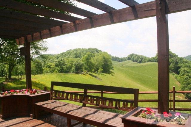 168 Laurel Fork Road Vilas, NC 28692 - Photo 20 of 22 Gallery Image 20