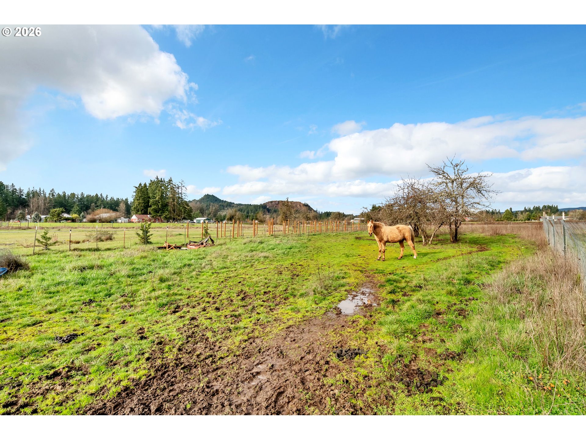 82071 Lost Creek Road Dexter, OR 97431 - Photo 45 of 48