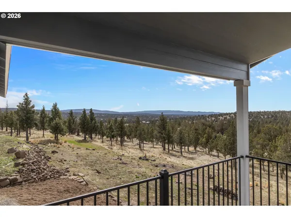 a view of a dry yard with large trees