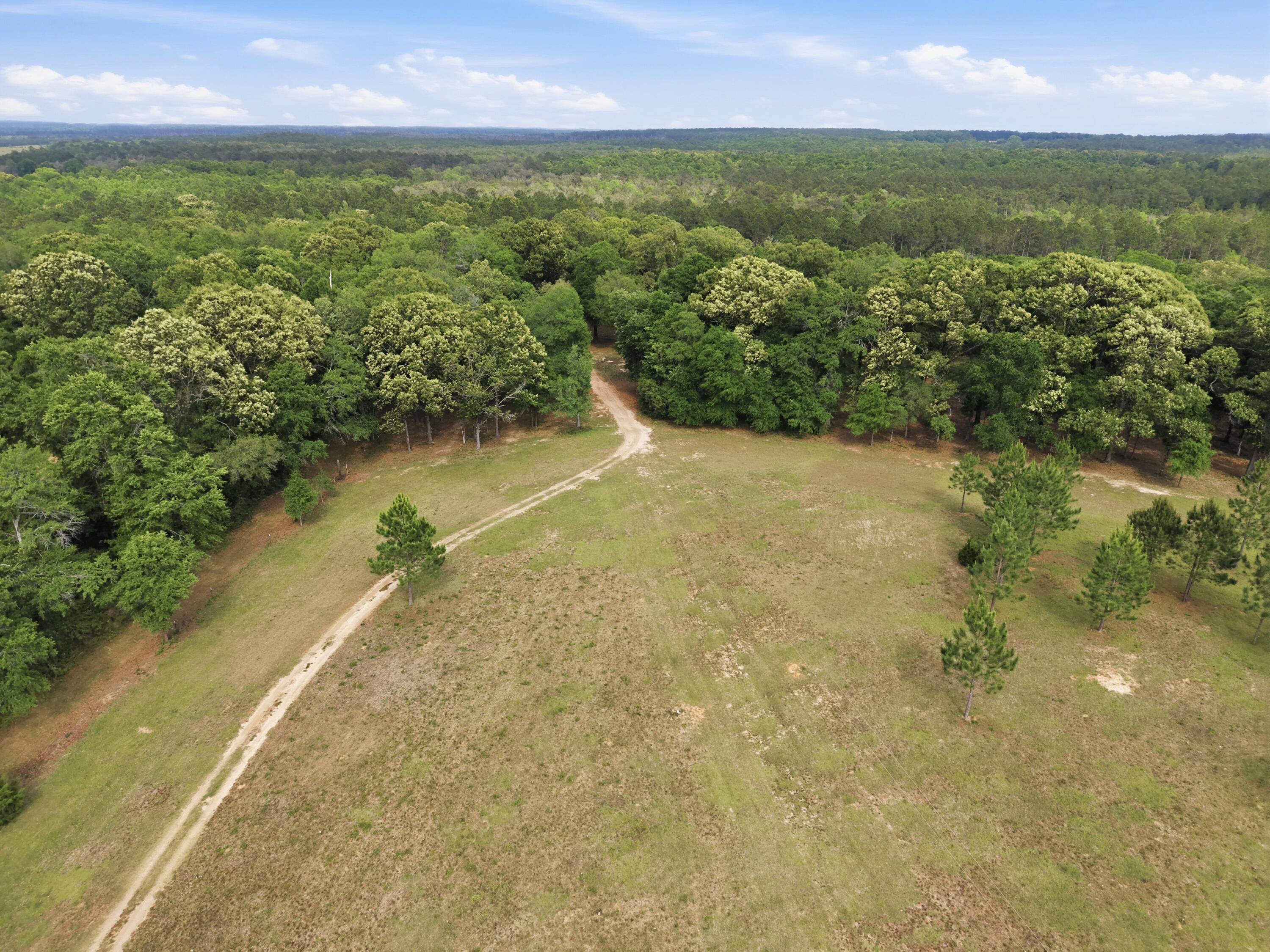 261 Wilkerson Road DeFuniak Springs, FL 32433 - Photo 19 of 76 DJI_20260429154939_0071_D