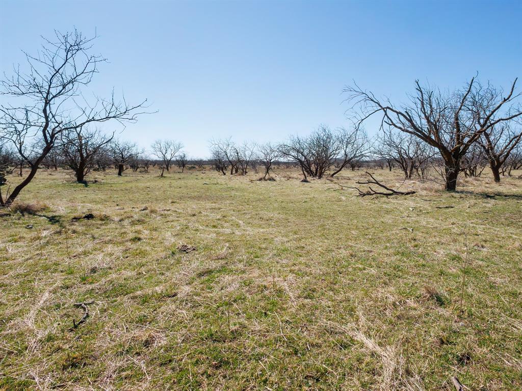 821 P R 4901 Goldsboro, TX 79519 - Photo 6 of 24