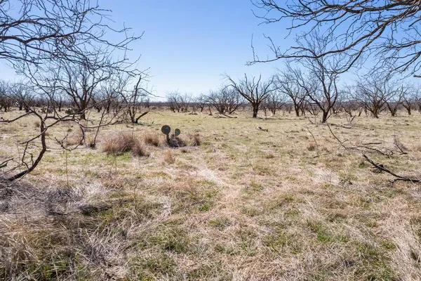 $1,920,000 | 821 P R 4901, Goldsboro, TX 79519