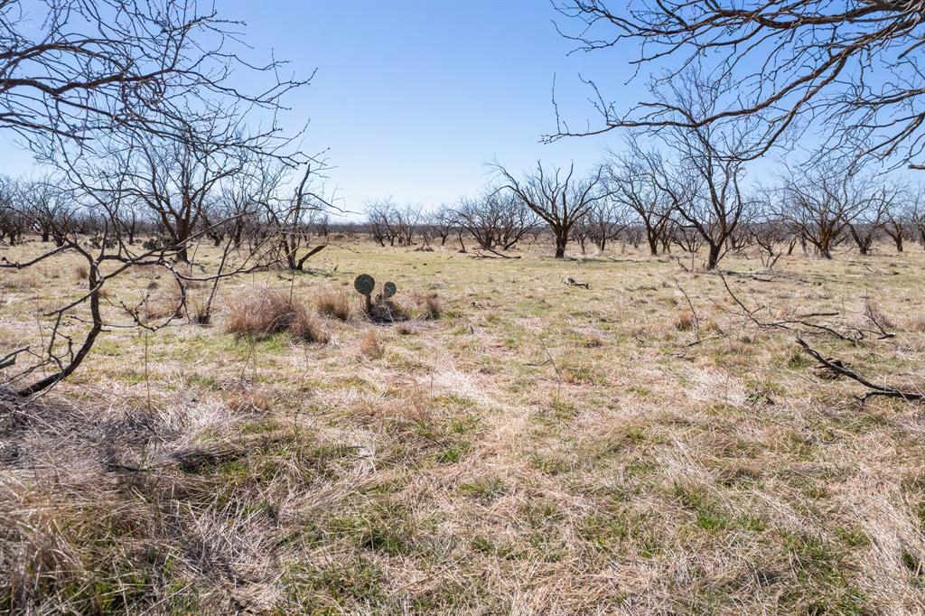 821 P R 4901 Goldsboro, TX 79519 - Photo 8 of 24