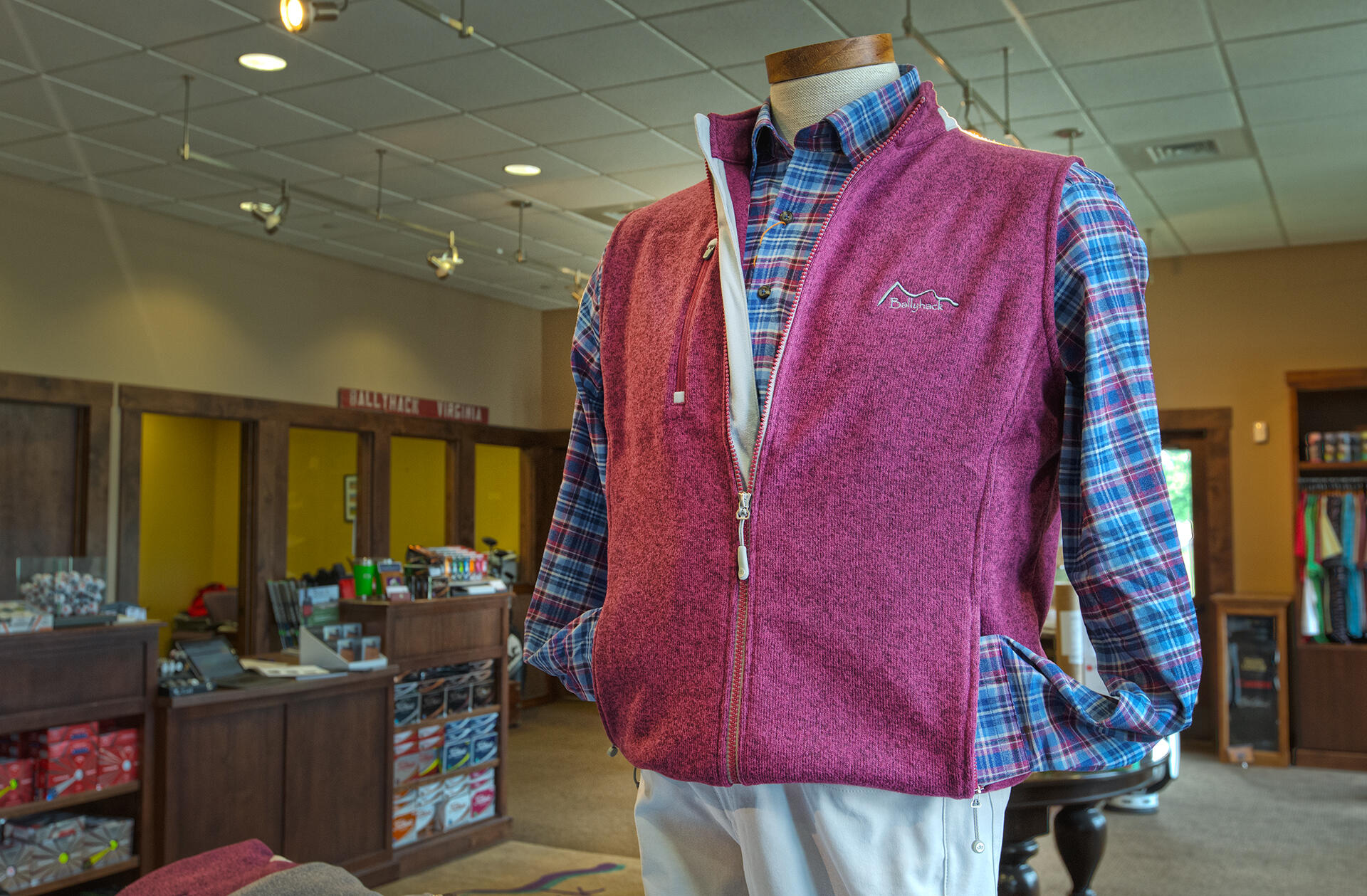 3592 Ballyhack Trail Roanoke, VA 24014 - Photo 4 of 61 a view of walk in closet with clothes and shoes