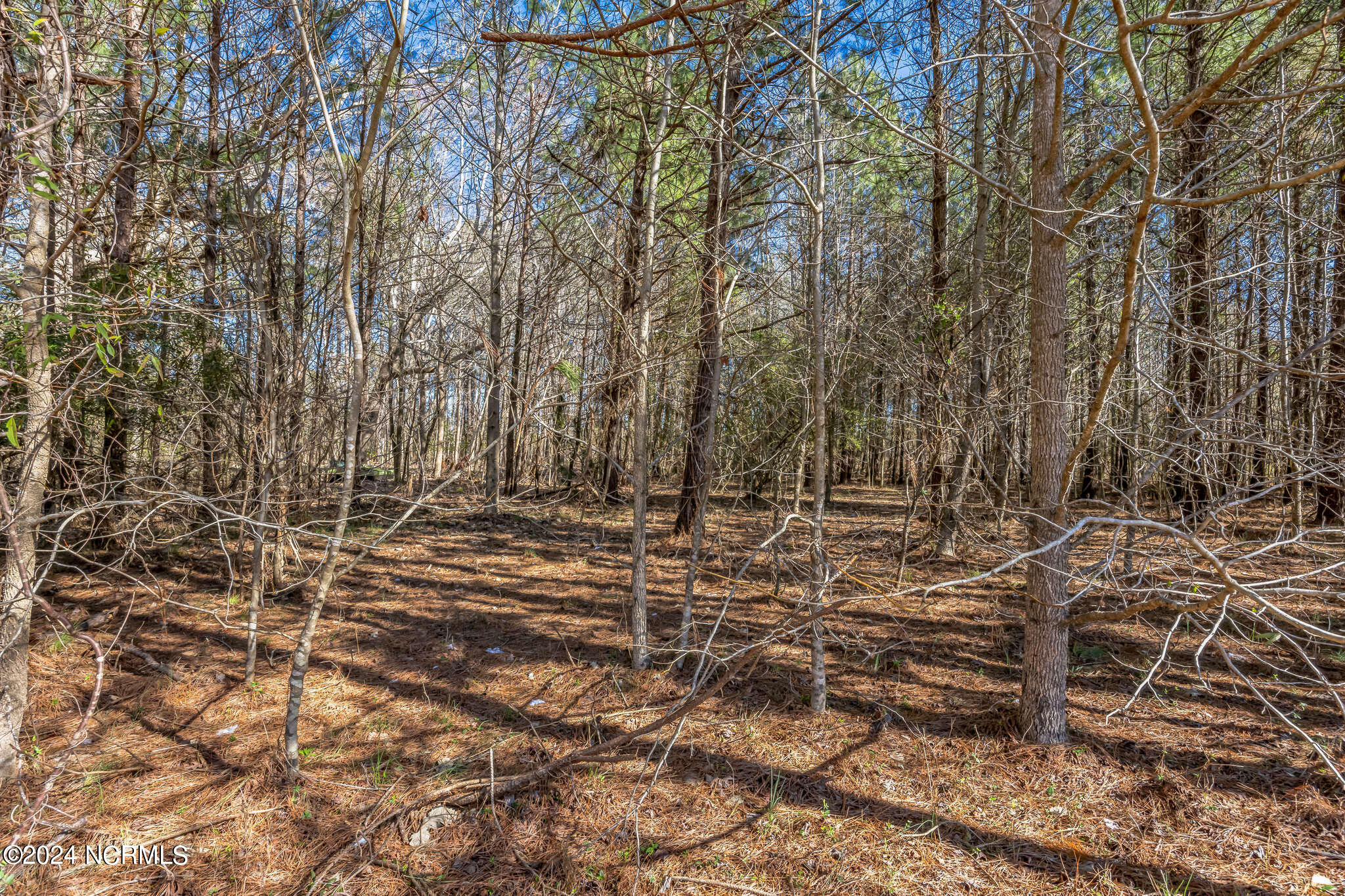 0 Saints Delight Church Road New Bern, NC 28560 - Photo 11 of 27 11