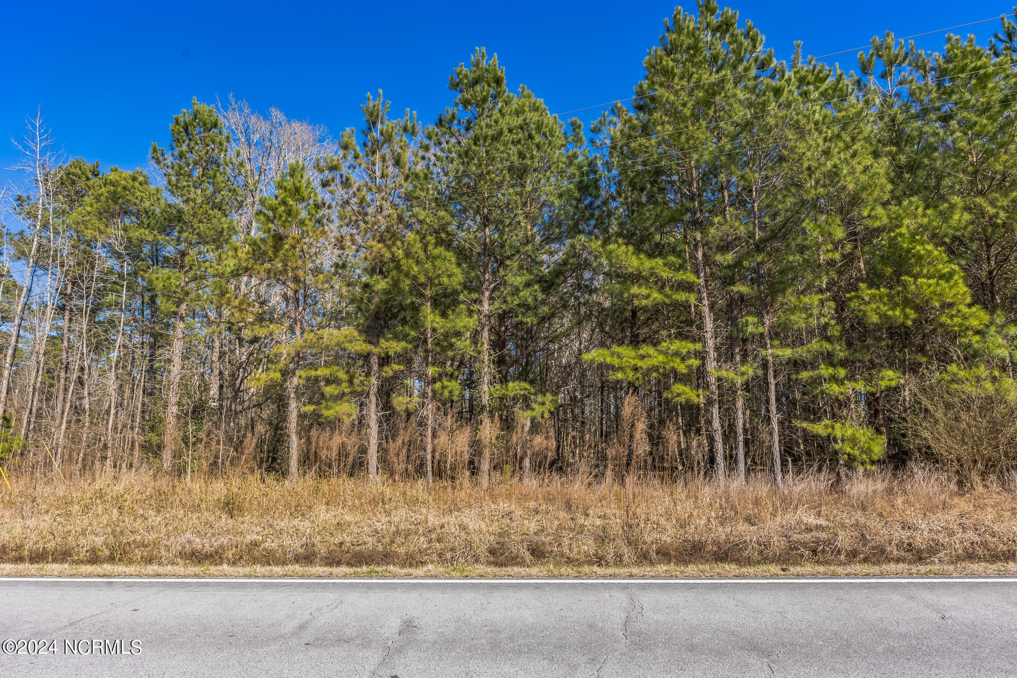 0 Saints Delight Church Road New Bern, NC 28560 - Photo 13 of 27 13