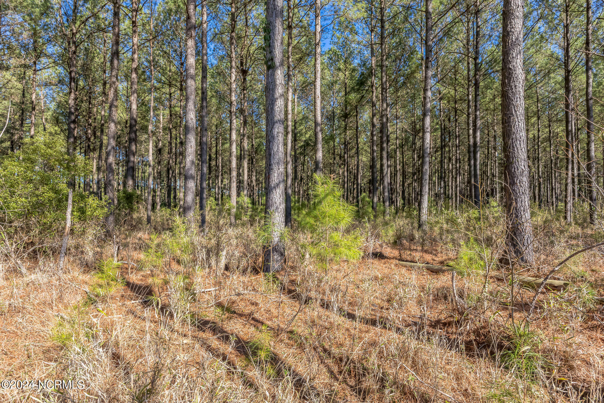 0 Saints Delight Church Road New Bern, NC 28560 - Photo 14 of 27 14