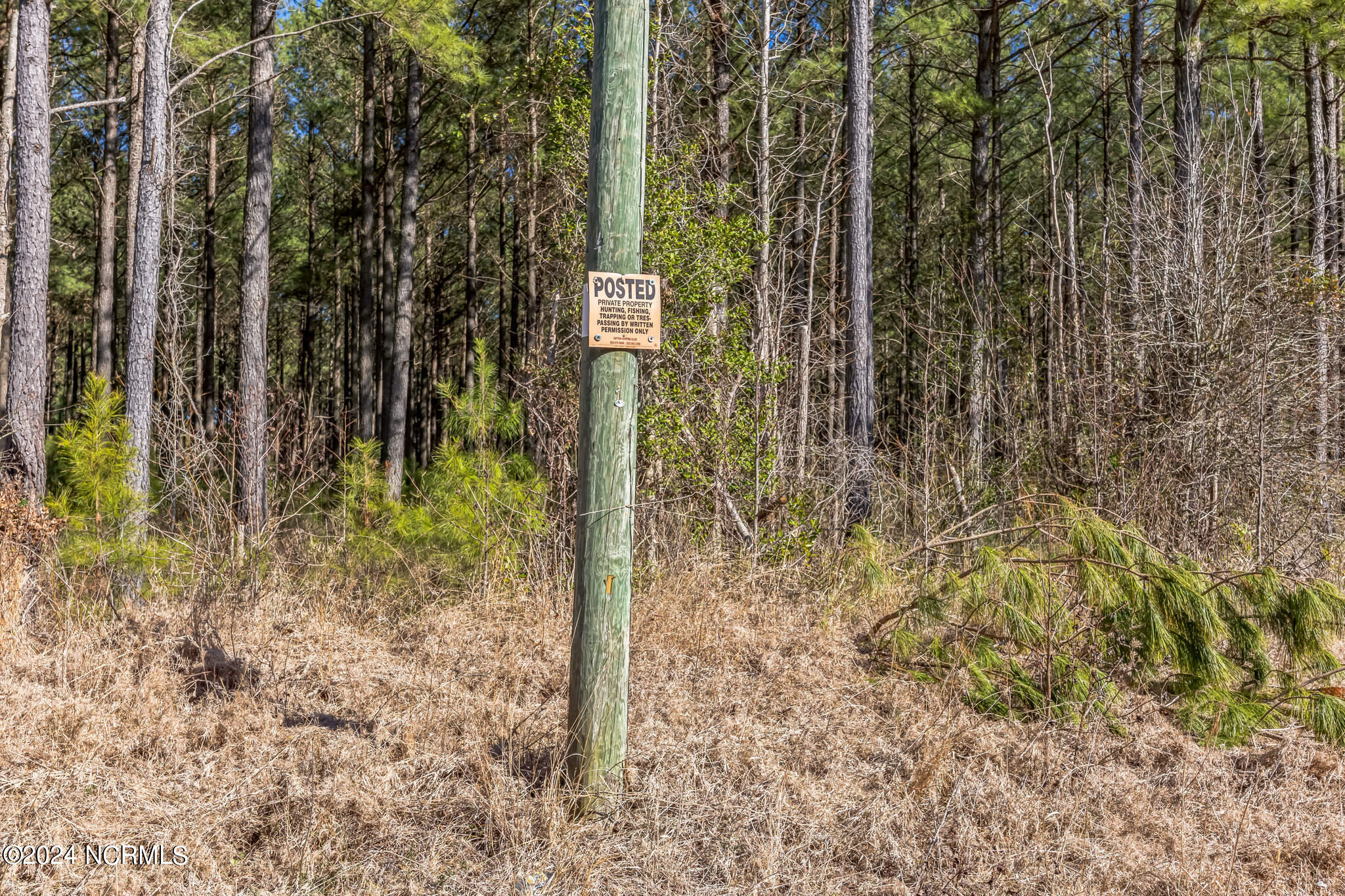 0 Saints Delight Church Road New Bern, NC 28560 - Photo 25 of 27 25