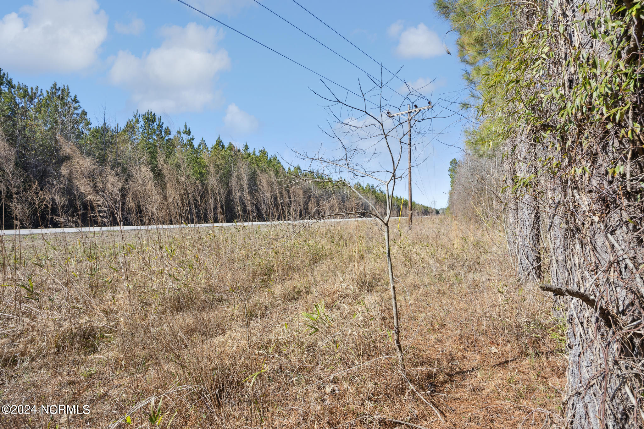 0 Saints Delight Church Road New Bern, NC 28560 - Photo 10 of 27 10