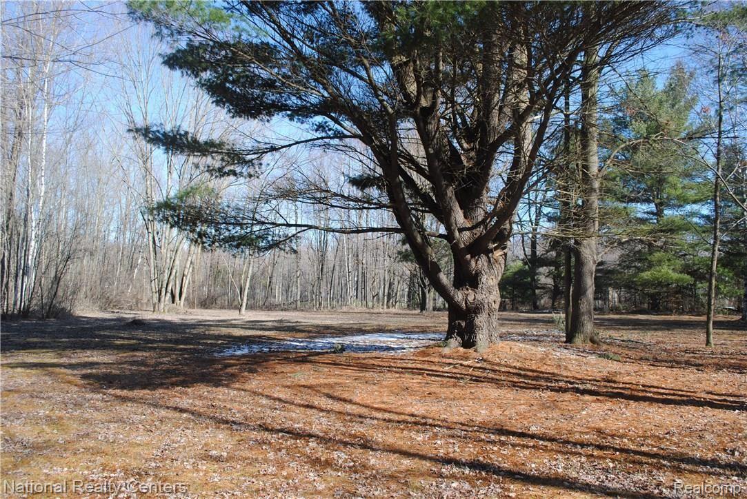 1769 Withey Road Columbus, MI 48063 - Photo 51 of 55 Walking, Hunting, Bird Watching, All Activities Available On Your Private Estate!