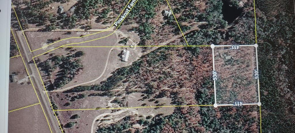 66 Pineknot Farms Road Box Springs, GA 31801 - Photo 16 of 20