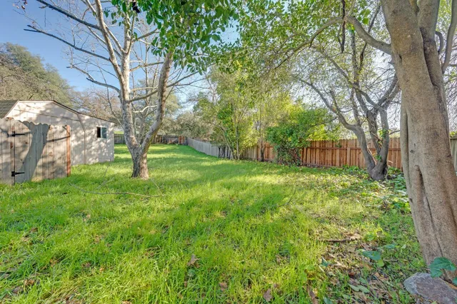 a view of a back yard of the house
