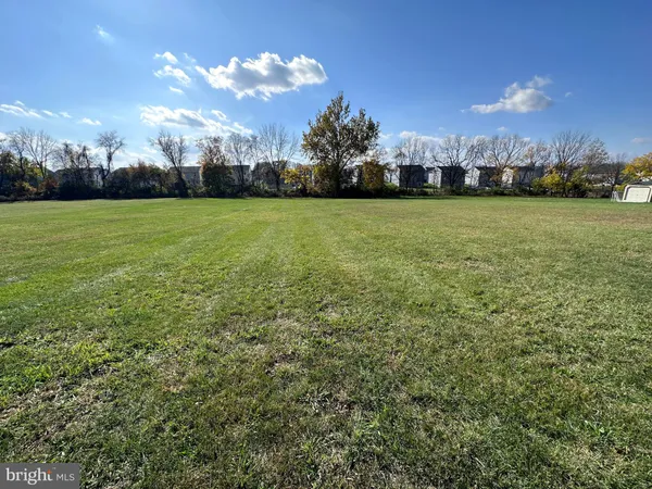 a view of a big yard