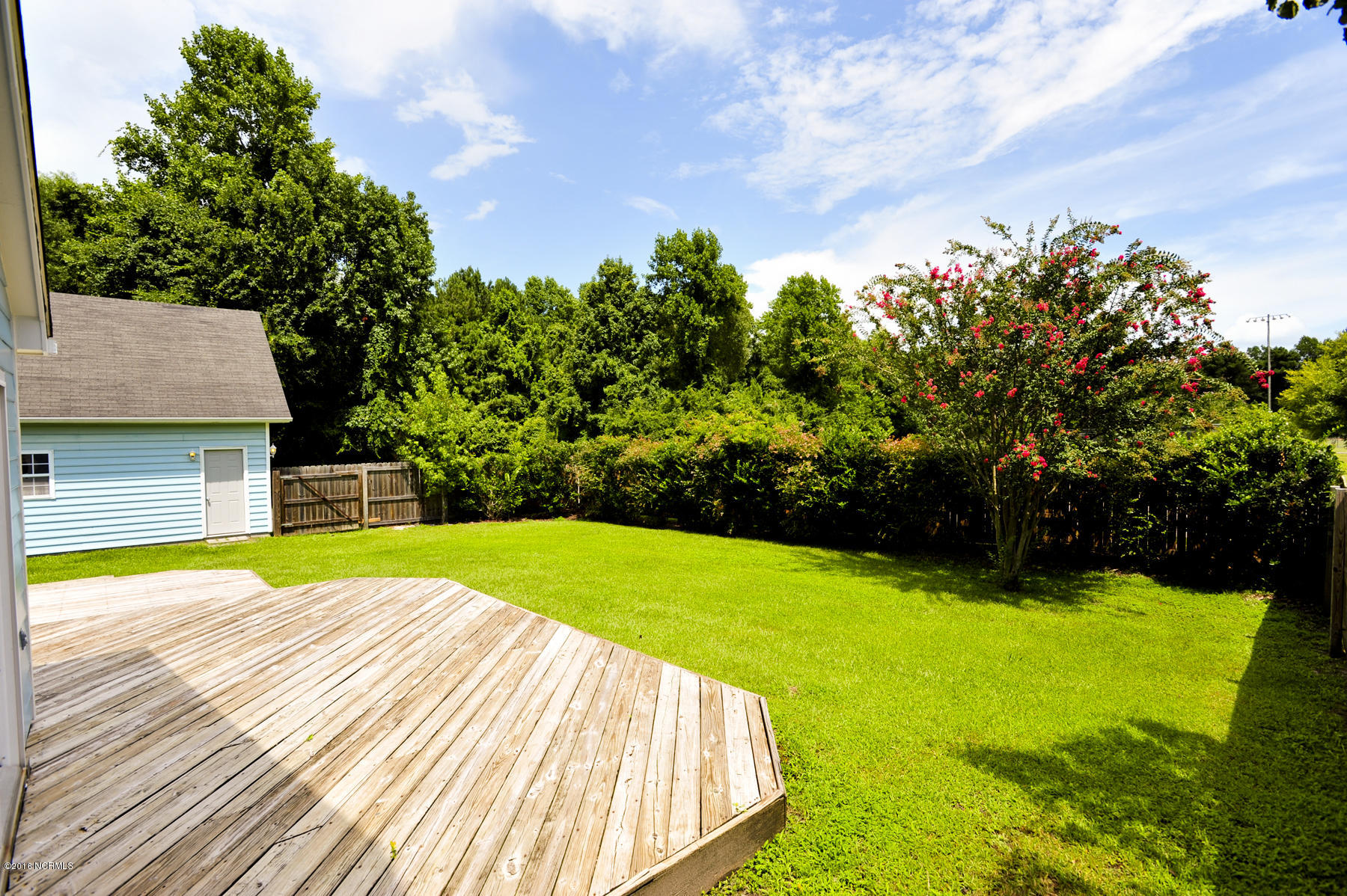 530 Shadowridge Road Jacksonville, NC 28546 - Photo 8 of 39 016 Backyard