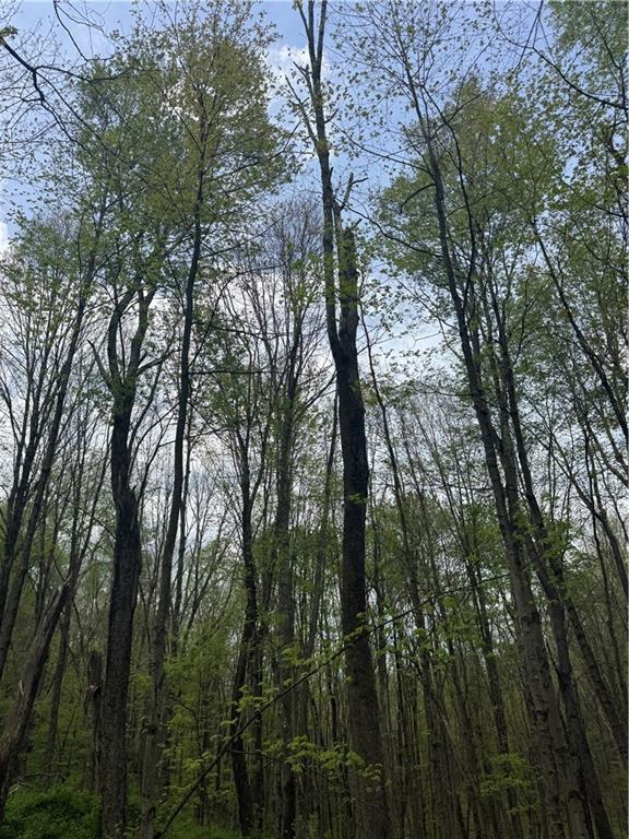 0 Grove Road Stoystown, PA 15563 - Photo 25 of 34