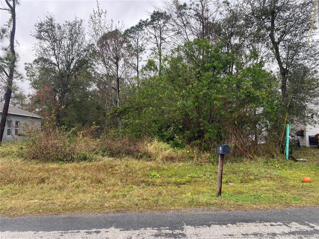 Clermont Drive Kissimmee, FL 34759 - Photo 2 of 6 a backyard of a house with lots of trees